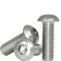 1/2X3 BUTTON HEAD SS