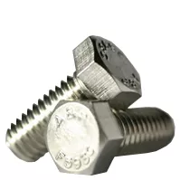 5/8 X 2 SS BOLT