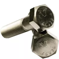 7/8" X 2" S/S BOLT