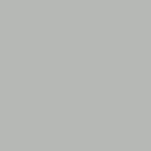Acrylic Model Paint, 1oz Bottle, Silver