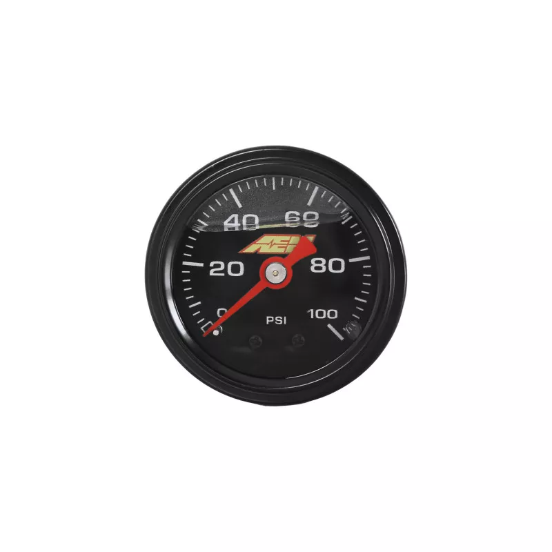 AEM Analog Gauges