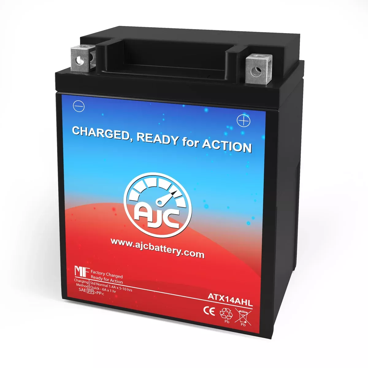 AJC Battery Compatible with Triumph Thunderbird 2002 900CC Motorcycle Battery (2002)