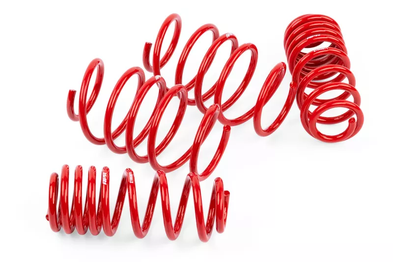 APR Lowering Springs