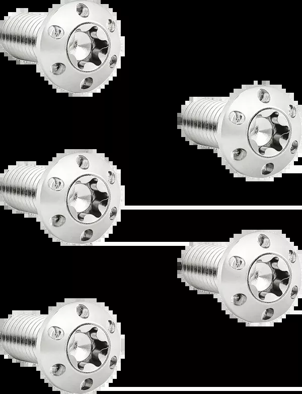 Arlen NESS Bolt Kit - Holeshot/Brake Rotor/Front - Hub Mount - Polished 5/16-18 X 7/8" - 5 Pack