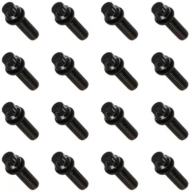 ARP 135-2101 Black Oxide 12-Point Intake Manifold Bolt Kit
