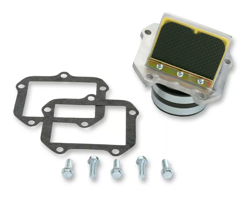 Boyesen Rad Valve KTM 250cc-300cc 2002-2003