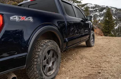 Bushwacker 20131-02