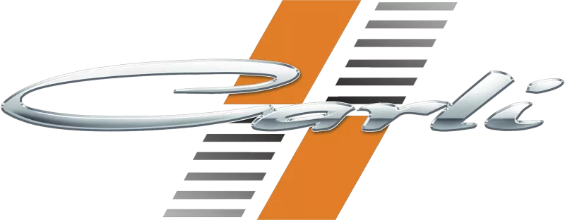 CLI Limiter Straps