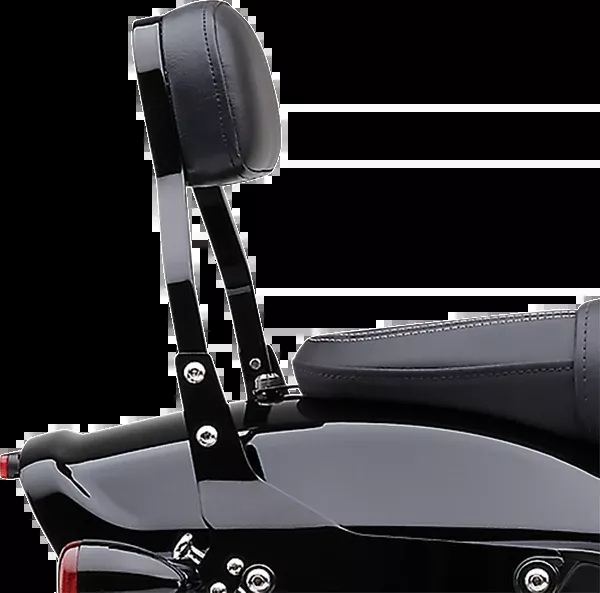 Cobra Backrest Kit – 11″ – Black – FXFBS