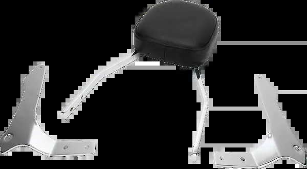 Cobra Sissy Bar – Standard – 1900 Roadliner