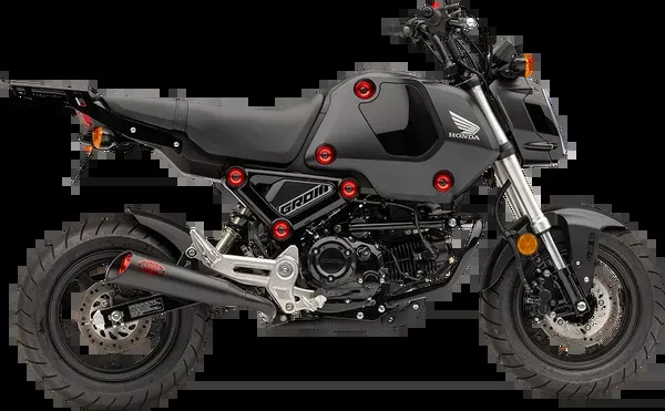 Cobra Solo Luggage Rack – Formed – Black – Grom