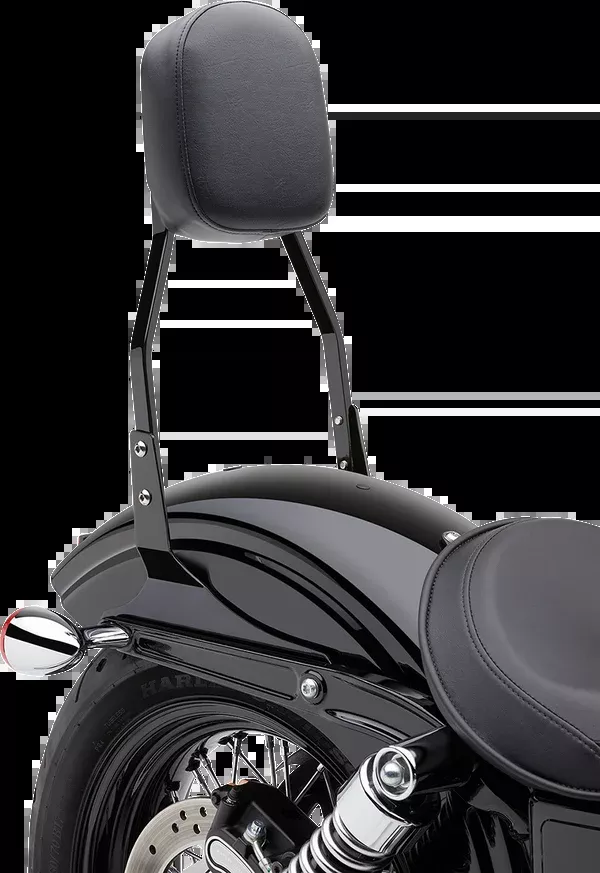 Cobra Standard Sissy Bar – Black – Sportster