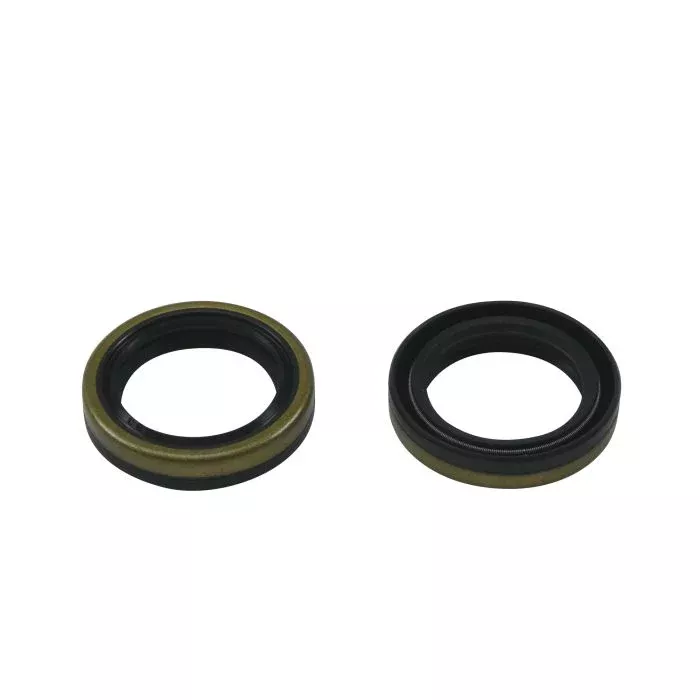 CRANKSHAFT SEAL KIT BETA EVO 2T ALLBALLS 24-2042 DIRT
