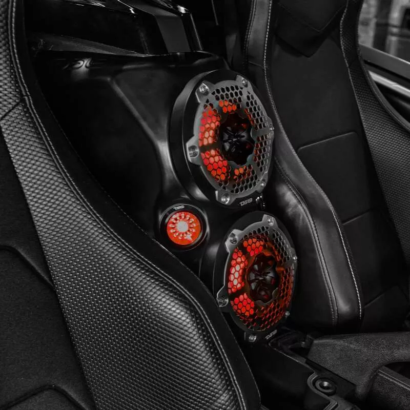 DSE Slingshot Loaded Speaker Enclosures