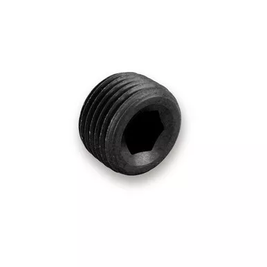 Earls 3/8NPT Ano-Tuff Internal Plug AT593204ERL