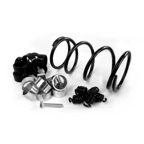 EPI Clutch Kit Sand Dune