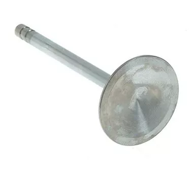 Federal Mogul V8003R Auto Part Replacement Component