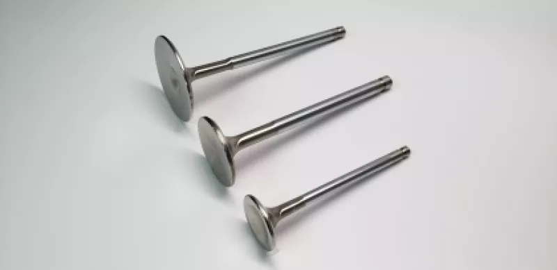 FER 6000 Series Exh Valve-Sets