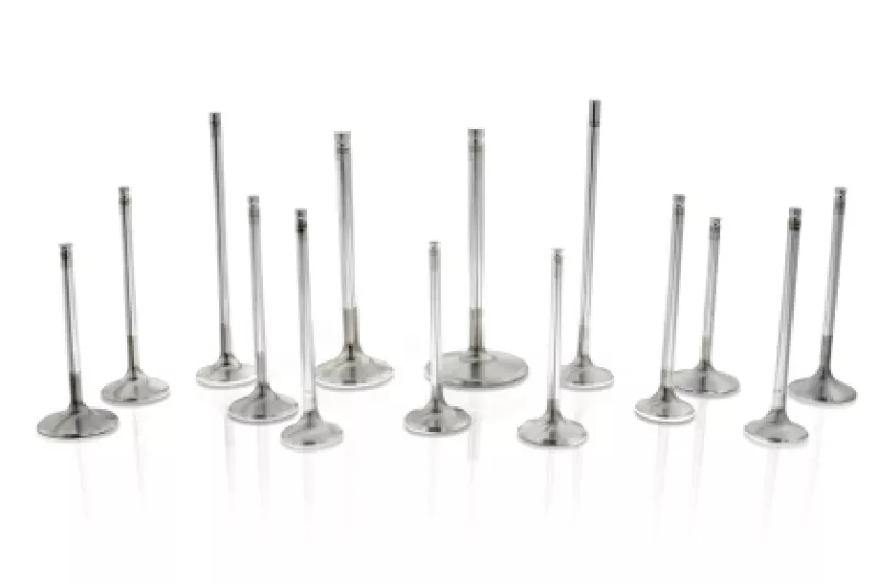 FER Comp Plus Int Valve - Sets