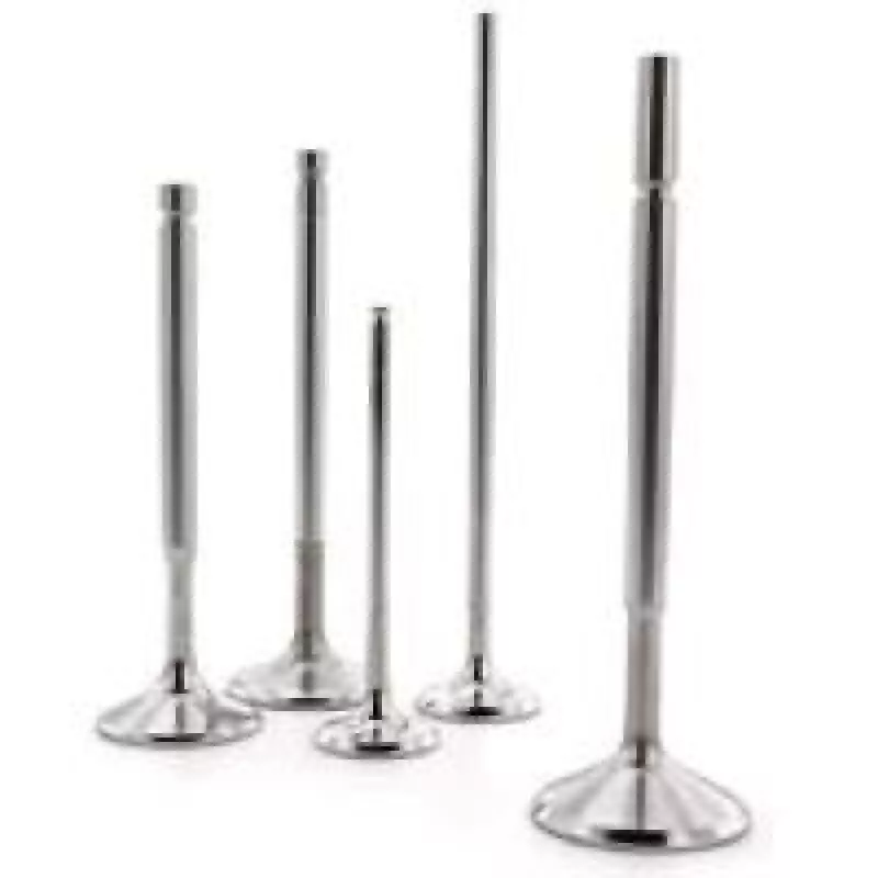 FER Powersports Comp Exh Valve - Sets