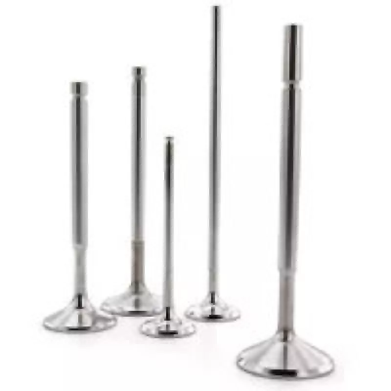 FER Powersports Comp Int Valve - Sets