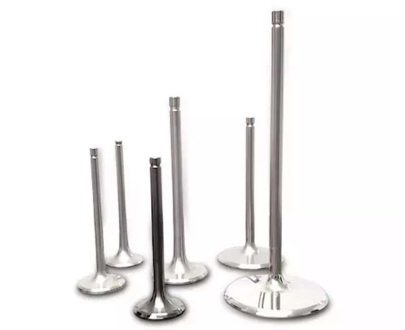 FER Powersports Ti Int Valves - Sets