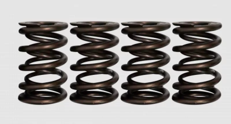 FER Powersports Valve Springs - Sets
