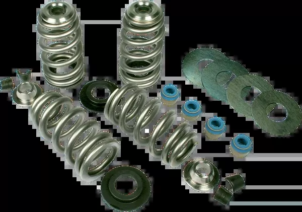 Feuling Parts Valve Spring Kit – Endurance Beehive With TI Retainers – TC With SE Heads