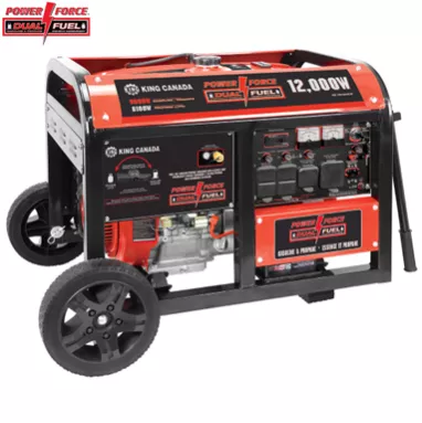 GAS/PROPANE GENERATOR
