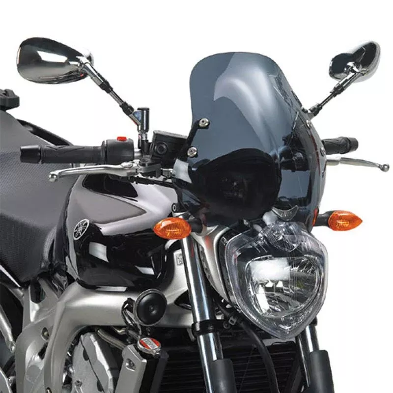 Givi Smoke Windscreen And Mounting Kit FZ6