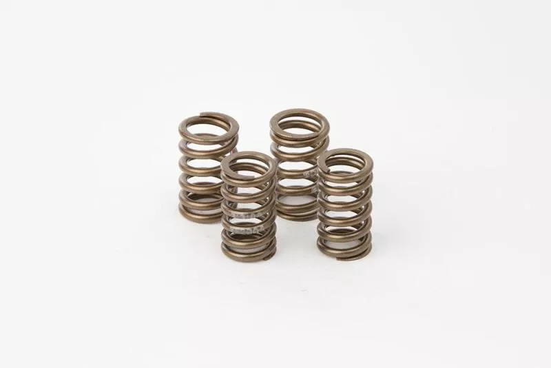 HOC Valve Spring Kits