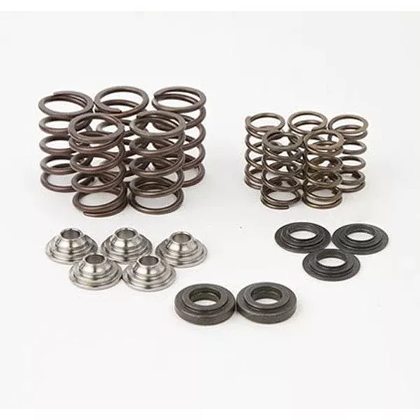 Hot Cams Valve Spring Kit