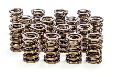 Isky 1.530in Valve Springs 8005A