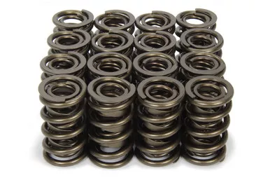 Isky 1.570 Valve Springs 9989RAD