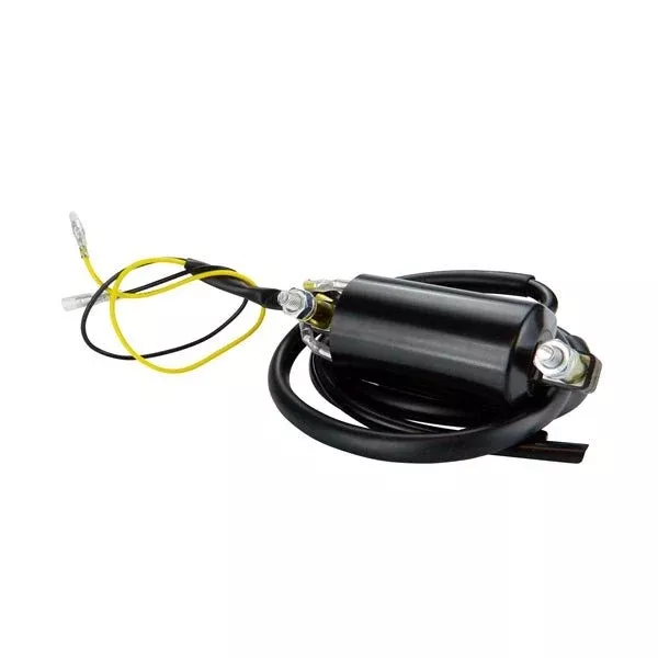 Kimpex 6 Volts External Ignition Coil