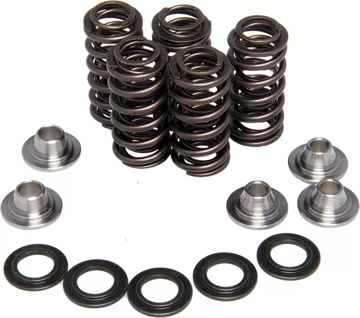 Kpmi 191-24005 80-8000 RACING VALVE SPRING KIT