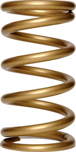 Landrum 9.5in. x 5.5in. x 900# Front Spring E900