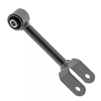 LOWER LATERAL LINK