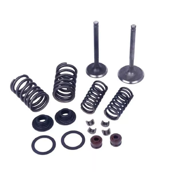 Mogo/Outside Distributing Mogo Parts Valve Kit (61-0214)