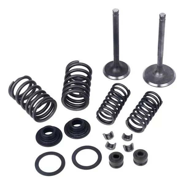 Mogo/Outside Distributing Valve Kit For Horizontal Motor