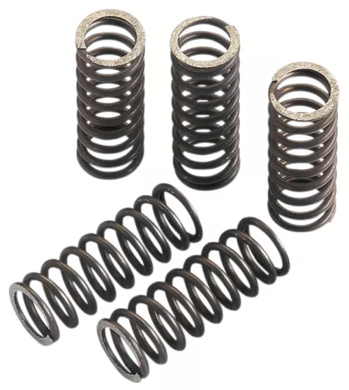 Moose Clutch Spring Set (FHDS80-5)