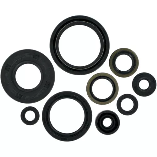 Moose Complete Engine Oil Seal Kit (0934-0162)