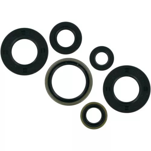 Moose Complete Engine Oil Seal Kit (0934-0164)