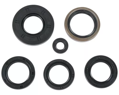 Moose Complete Engine Oil Seal Kit (0935-0022)