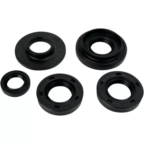 Moose Complete Engine Oil Seal Kit (0935-0378)