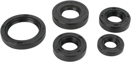 Moose Complete Engine Oil Seal Kit (0935-0380)
