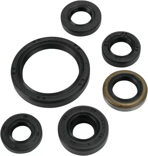 Moose Complete Engine Oil Seal Kit (0935-0387)