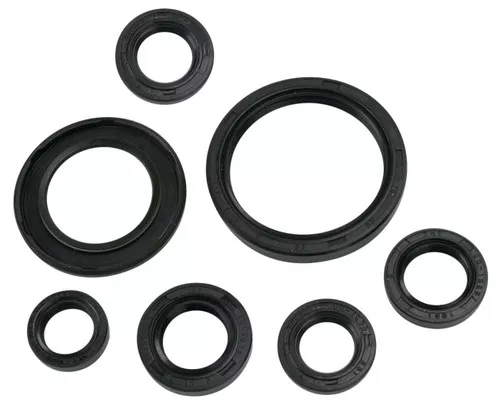 Moose Complete Engine Oil Seal Kit (0935-0389)