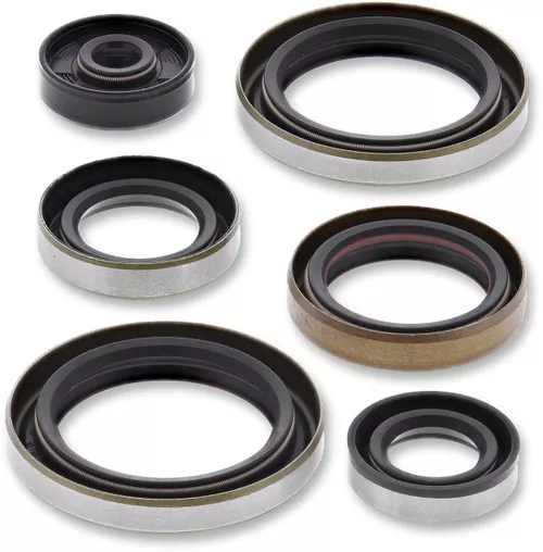 Moose Complete Engine Oil Seal Kit (0935-0947)