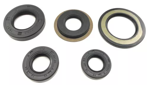 Moose Complete Engine Oil Seal Kit (0935-1022)